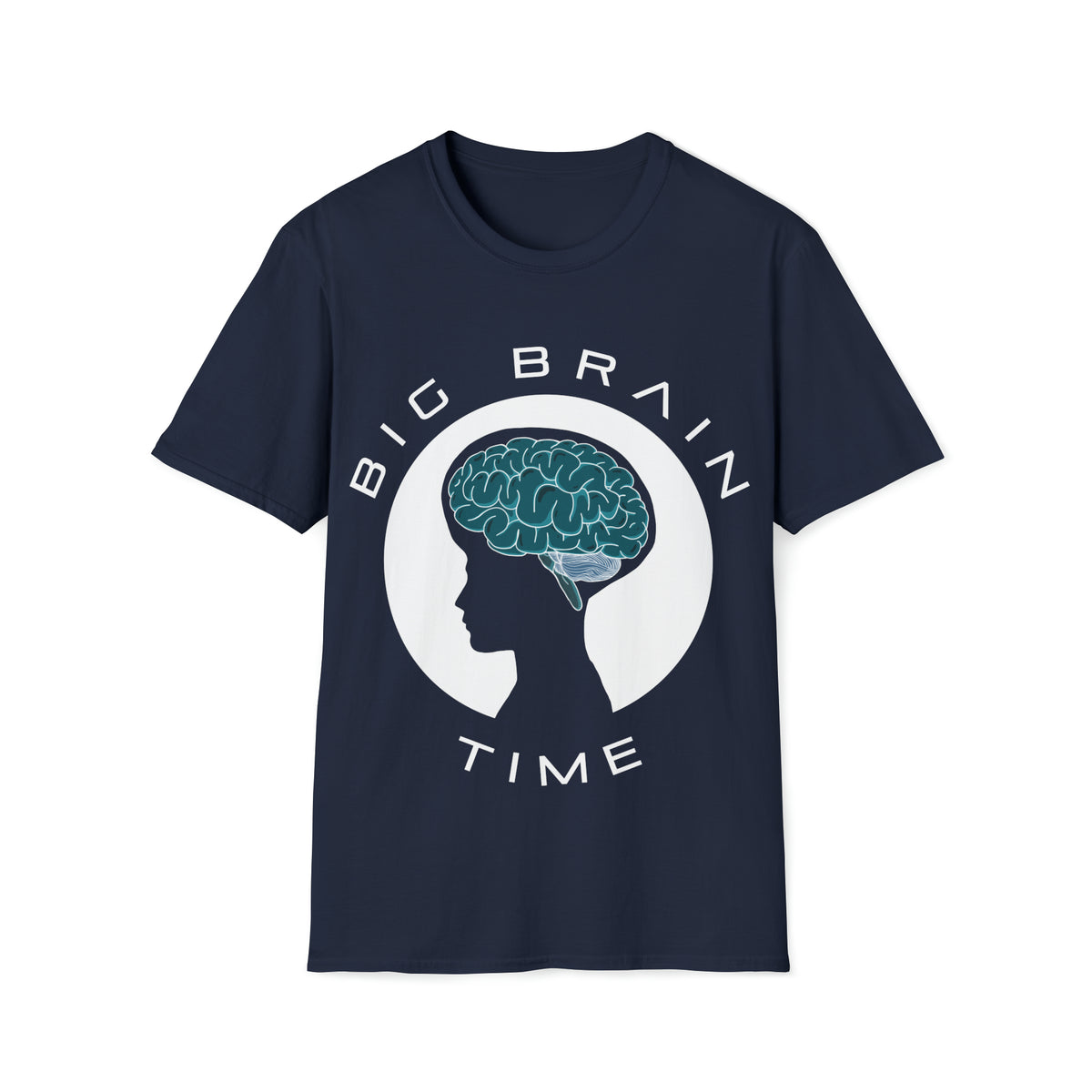 Big Brain Time – AraneidaeWeb